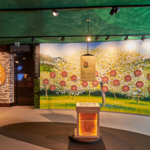 Espace-kerné-mur-biodiversité