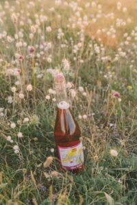 Cidre-rose-Kerne-2-scaled-e1605619976175