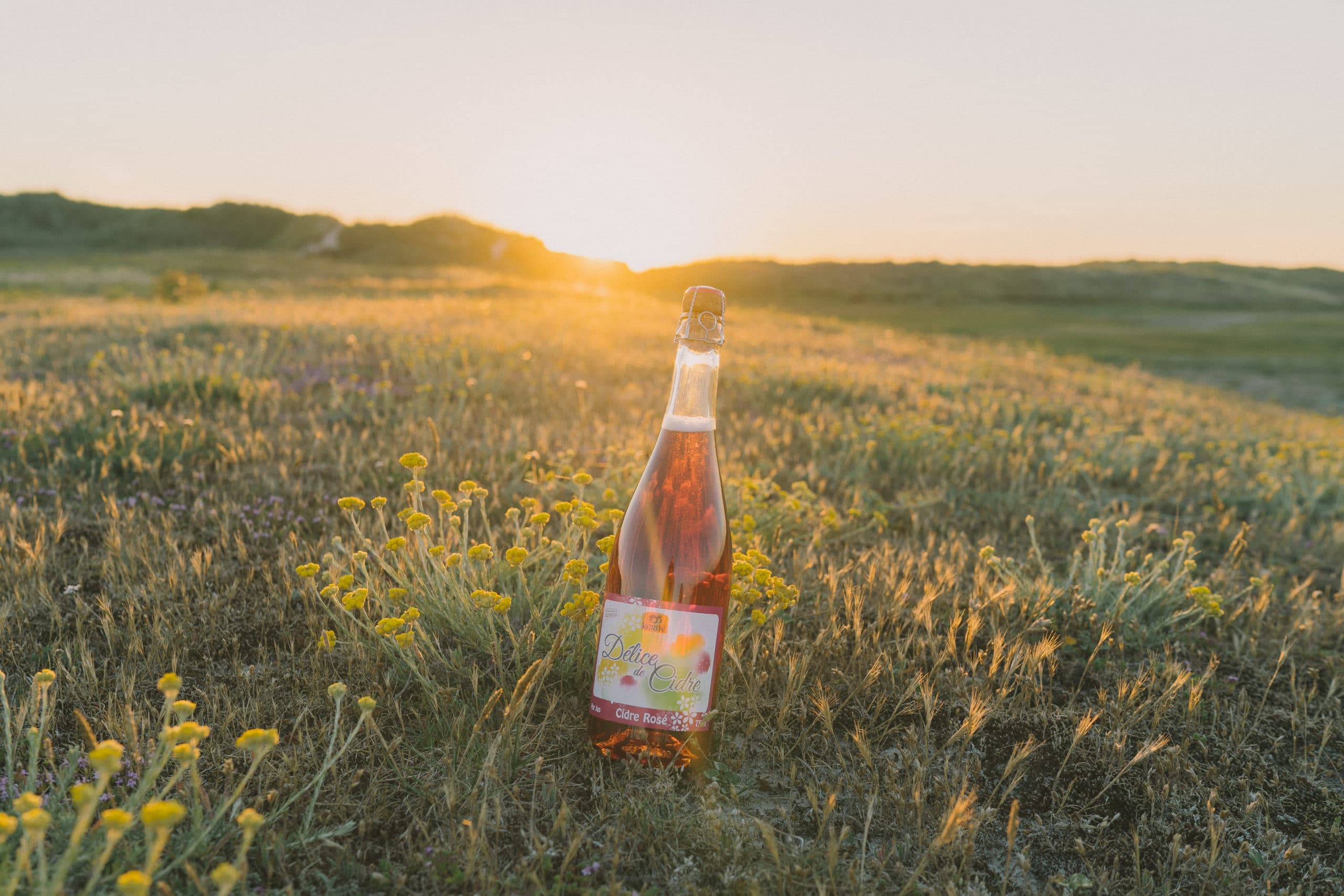 Comment choisir votre Cidre Kerné ? - Cidrerie Kerné