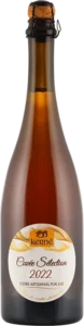 selection-2022